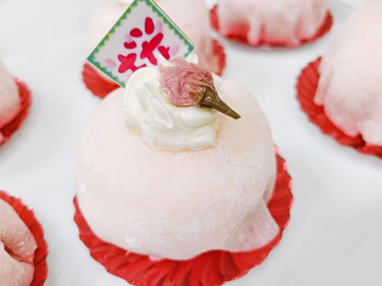 桜香るいちごの生大福¥486