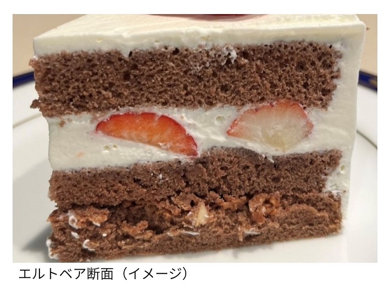 エルトベア断面